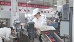 <b>绥化望奎：智能流水线全速运转 保质保量赶制定</b>